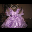 quantumwaffle avatar