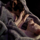 queen-sleep-sheep avatar