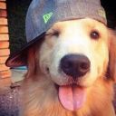 queenoflaughter avatar