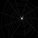 queenofthemacabre avatar