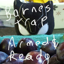 queenoftherandomword avatar