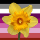 queer-flowerchild avatar