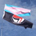 queeranarchism avatar