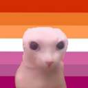 queerandcoquette avatar
