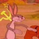 quickquestionsblog avatar