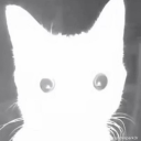 quietgirlwithabook avatar