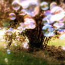 quietquandary avatar