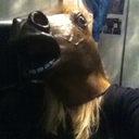 quinnforthewinn avatar