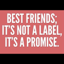 quotesonbestfriends avatar