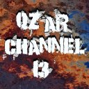 qzarchannel13 avatar