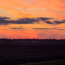 ra1nbowsquirrel avatar