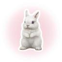 rabbit-reveries avatar