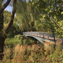 rabbit-whisperer avatar