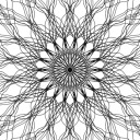 rabid-transcendentalist avatar