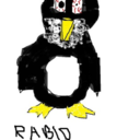 rabidpenguinmadness avatar