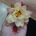 rabidpixiemaniac avatar