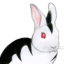 rabiesdiagnosis avatar