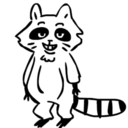 raccoon-boy avatar