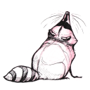 raccooncomic avatar