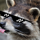 raccoonmind avatar