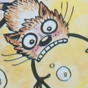 raccoonramblings avatar