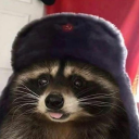 raccoonsaur avatar