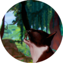 raccoonsims avatar