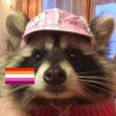 raccoonske avatar