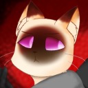 raccoontheignore avatar