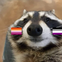 raccoonwithasword avatar