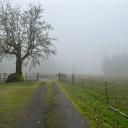 rachellemebell avatar