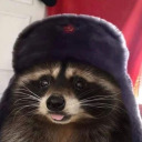 racoonlt avatar