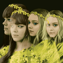 rad-transparency avatar