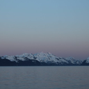 radapple-blog avatar