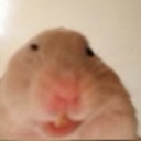 radical-rascal-766 avatar