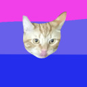 radicallymath-blog avatar