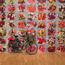 radioactive-22 avatar