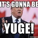 radioactivekatie avatar