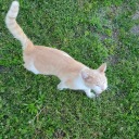 radpersonaskeletonmonger-blog avatar