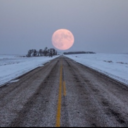 rageandlovexx avatar