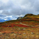 rain-is-a-fat-puppy avatar