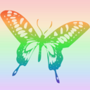 rainbowsupport avatar