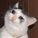 raindropsanddreams avatar