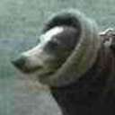 raineandcolour avatar