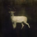 rainwatermold avatar