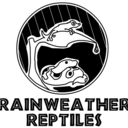 rainweatherreptiles avatar