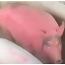 rainybananaruins avatar