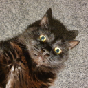 raised-on-toast avatar