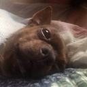 raiseyourpizza avatar