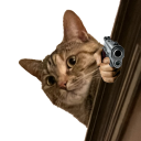 rallowsowtysiak avatar